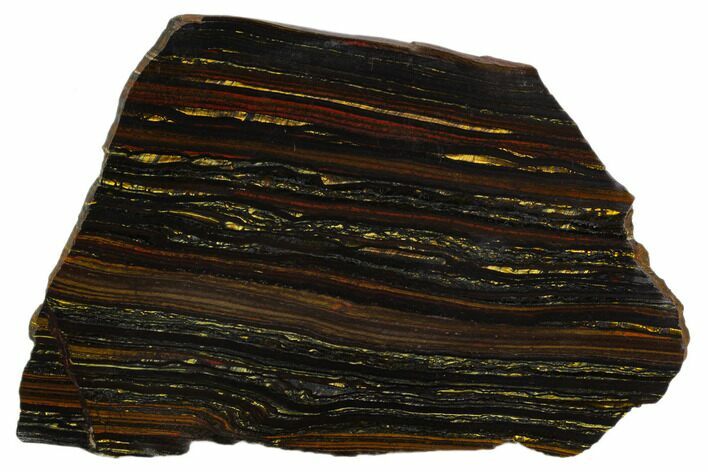 Polished Tiger Iron Stromatolite - Billion Years #129261